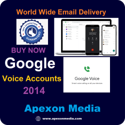 Buy Google Voice Accounts of 2014