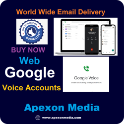 Buy Web Google Voice Accounts