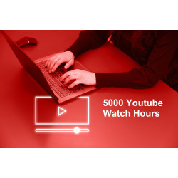 5000 Youtube Watch Hours
